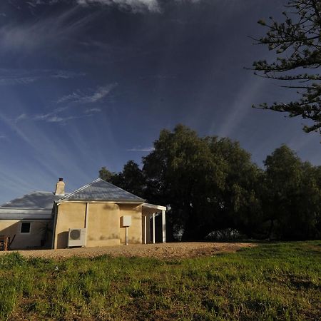 Peppermint Farm Cottage Mclaren Vale Dış mekan fotoğraf